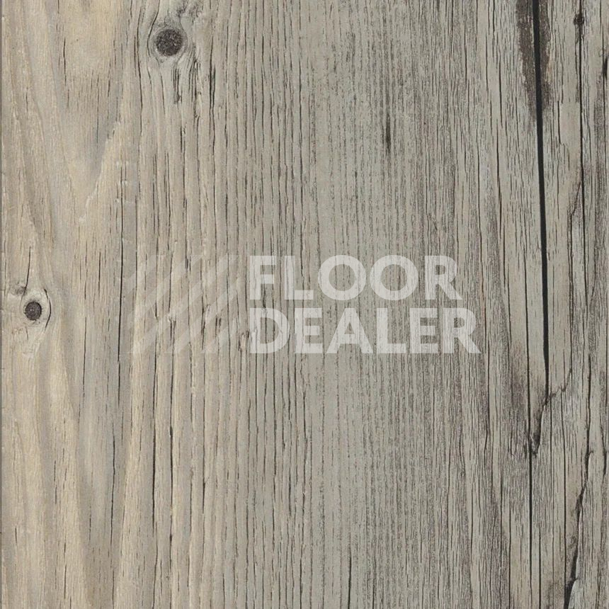 Кварцвиниловые полы Maximus Plank Norwegian Wood Fjord фото 1 | FLOORDEALER